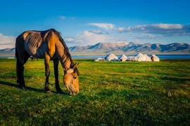 0300e980-3ebd-.max-2560x1440.format-webp.jpegquality-90.webp