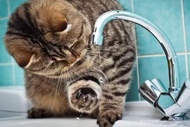 04-voda.max-19.max-2560x1440.format-webp.jpegquality-90.webp