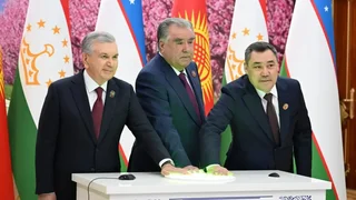 08_dostuk stella (1).webp