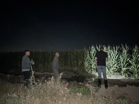 08dab826-d6b3-4b08-ab62-74b10f843dda.jpeg