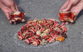1023415129_0_39_1023_683_1920x0_80_0_0_c6e0035f0eef511f24bd91780af99b52.jpg