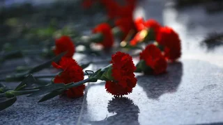 1033119410_0_0_5533_3112_1920x0_80_0_0_097acc55411b5b38cda19dcdb909c772.jpg.webp