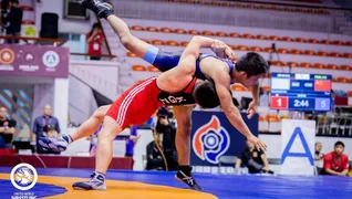 1033866502_0_138_2048_1296_600x0_80_0_0_4a291b706a03ecd8113930aaa9290751.jpg.webp