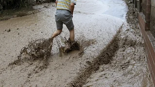 1039617045_0_330_2200_1568_1920x0_80_0_0_0fffcf657f38d7b7bcc7dba617aad9a0.730x0.jpg