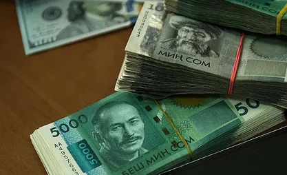 Өлкөдө ветеринардык кызмат көрсөтүүдөн 120 млн сом түштү