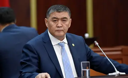 Ташиев күйөөсүнүн колунан ажал тапкан аял боюнча: Бул үй-бүлөлүк чыр эмес, киши өлтүрүү