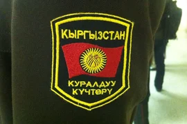 12_iyl_0001_3.jpg