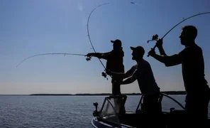 1646741288228444_8D.2e16d0ba.format-webp.fill-1668x1014.webp
