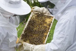 169364428_110282817828764_8020128663250628873_n.jpg