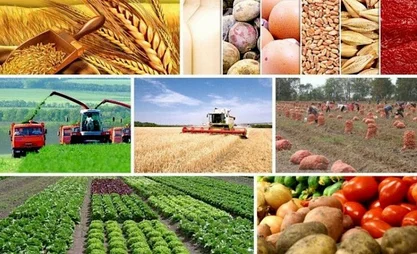 Кыргызстанда агротармакка 3,3 млрд сом жеңилдетилген насыя берилди