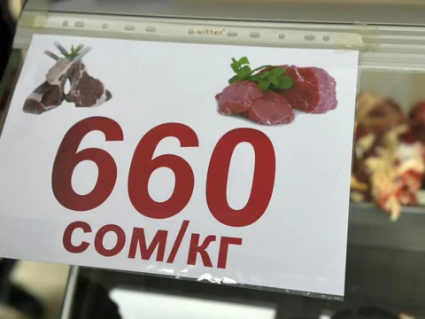 1763641683.jpeg