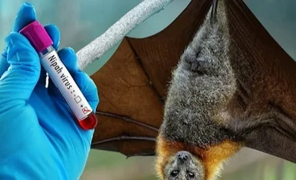 1769488059191_virus-nipah-bung-phat-tai-an-do-loat-san-bay-chau-a-siet-kiem-soat-y-te-cropped-1769485825726.webp