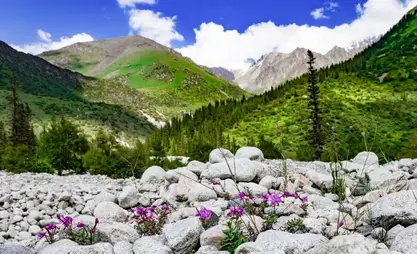Дем алышта Ала-Арчада үй-бүлөлүк майрам өтөт - программасы