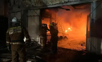 Дем алышта өлкө аймагында 8 өрт кырсыгы катталды
