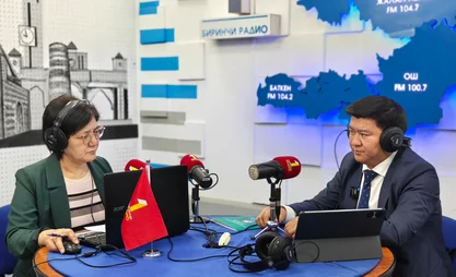 Өлкөдө 1,5 млн жаран салык төлөөчүнүн жеке кабинетин онлайн колдонууда
