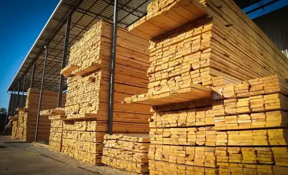 Кыргызстандан жыгач экспорттоого убактылуу тыюу салынды