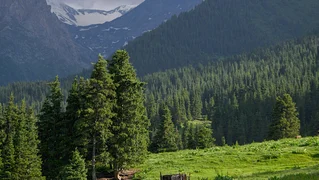 20436_1632115058_lg.730x0.jpg
