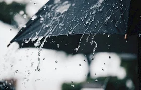 23b3e1883349a266abb115f3682e0108_xl.730x0.jpg