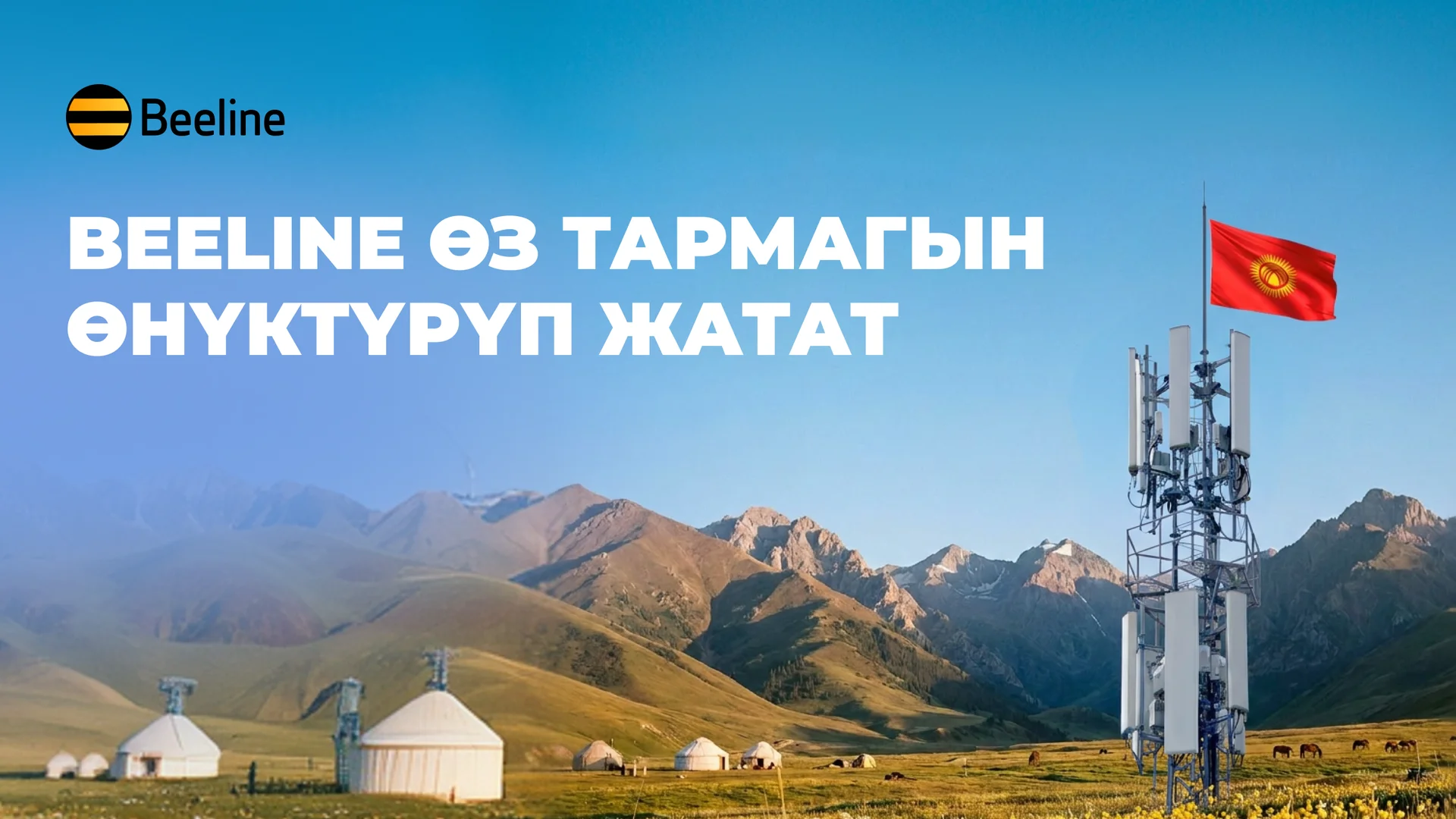 2560_1440_развитие сети_kg_1.png