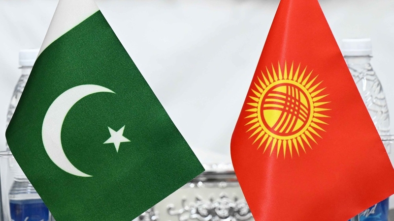 2619826.eedf85129abcc01f517a9390c59f860a