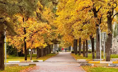 3-ноябрда өлкө аймагында күтүлгөн аба ырайы
