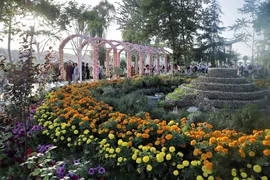 2 — копия.jpg