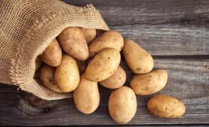Рейддин жыйынтыгы: Кытай картошкасы жергиликтүү продукция катары сатылган эмес