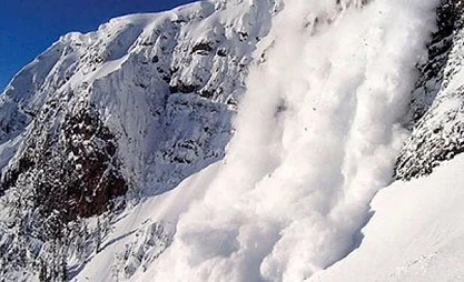 337954_1_1515069478.730x0.jpg