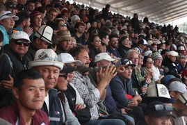 34542dd3-f9c7-4f3d-850e-855fb4a75378.jpeg
