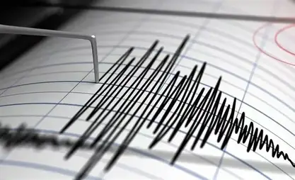 Нарын облусунда күчү 4 баллга жеткен жер титирөө катталды