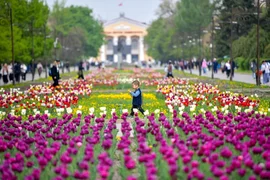 373873.max-2560x1440.format-webp.jpegquality-90.webp