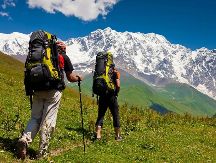 378735.max-2560x1440.format-webp.jpegquality-90.webp