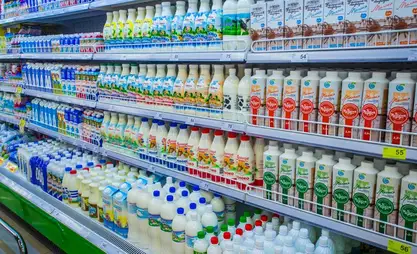 Кыргызстанда каймак май өндүргөн ата мекендик 6 компания  табигый продукция өндүрөт