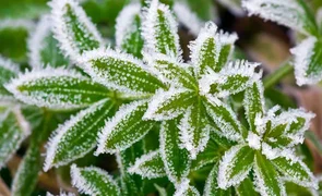 39c4e1.2e16d0ba.format-webp.fill-1668x1014.webp