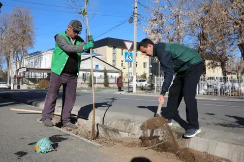 3ac6eb8c-a7c2-4a8b-a01f-a8845dd932e8.jpg