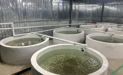 Россия-Кыргыз өнүктүрүү фонду Кыргызстандын экономикасына $1 млрд инвестиция салды
