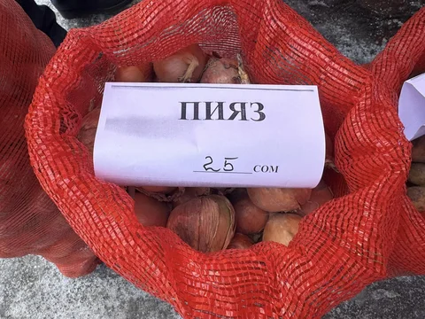 476156017_1788331098675528_3817255420769384314_n.jpg