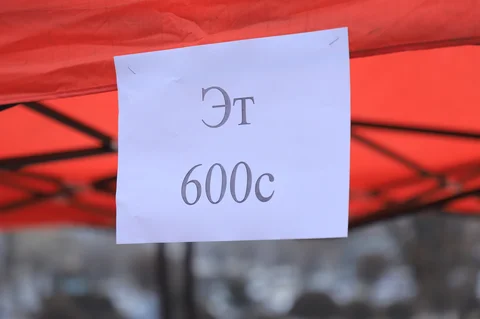 476676719_959892819662949_2488579929136413406_n.jpg
