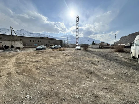 482055569_1689032451689356_1997279290523375108_n.jpg