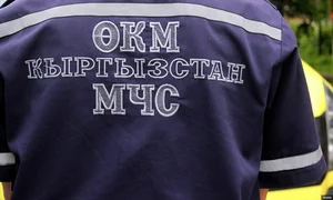 487261604727598_big.jpg