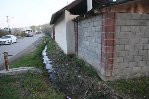487740594_997731722545725_231981297750292162_n.jpg