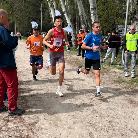 489629347_18352831273196946_1989707554571172324_n.jpg