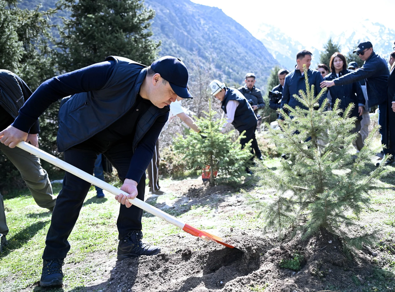 493850593_9734.max-2560x1440.format-webp.jpegquality-90