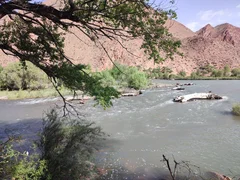 499986237_1102701061902619_3209196328642260684_n.jpg