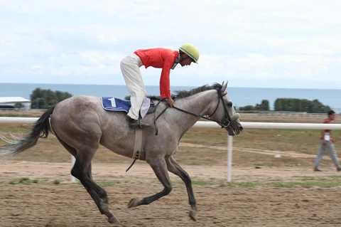 4ba4fc95-c711-4911-b7df-0db9cb1cfa85.jpeg