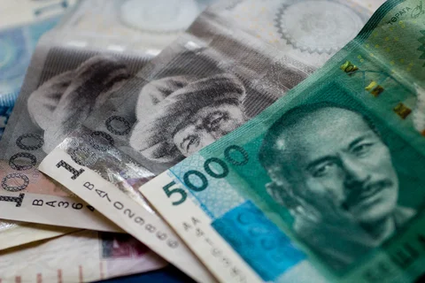 5-02-2012_many_kirgyz_som_5000_1000_100_200_elyor_nematov_kloop_bishkek_kirgyzstan-11.jpg