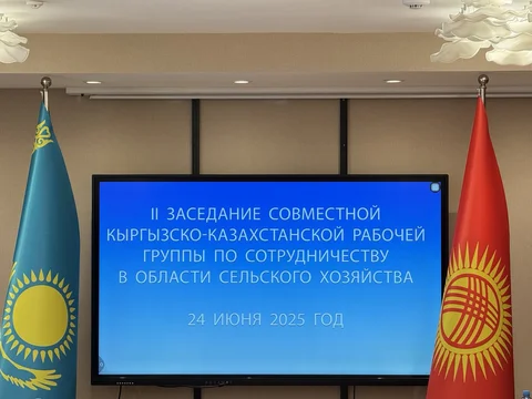 502686878_122177088776341273_8242234358470296387_n.jpg
