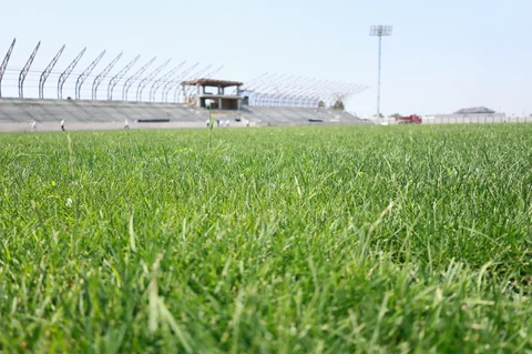 511102992_122174523380368081_6644608290796481765_n.jpg