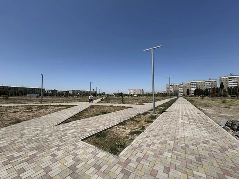 514045993_1230924655173248_506980175703112438_n.jpg