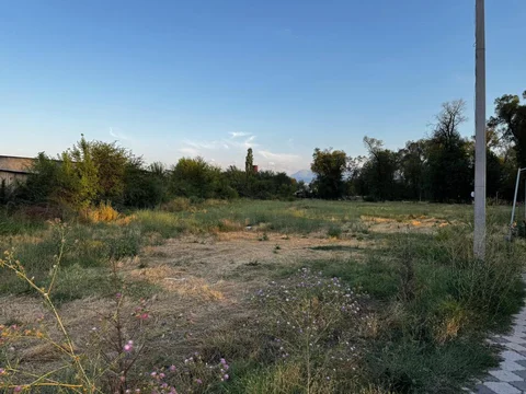 520168701_1584795155812820_2932829374062596979_n.jpg